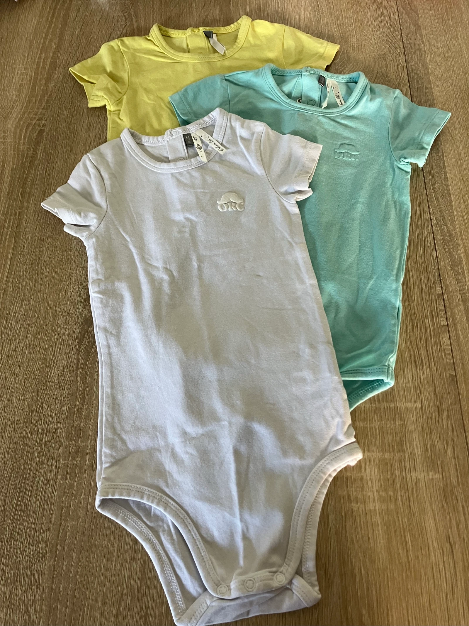 Lot 3 bodies 